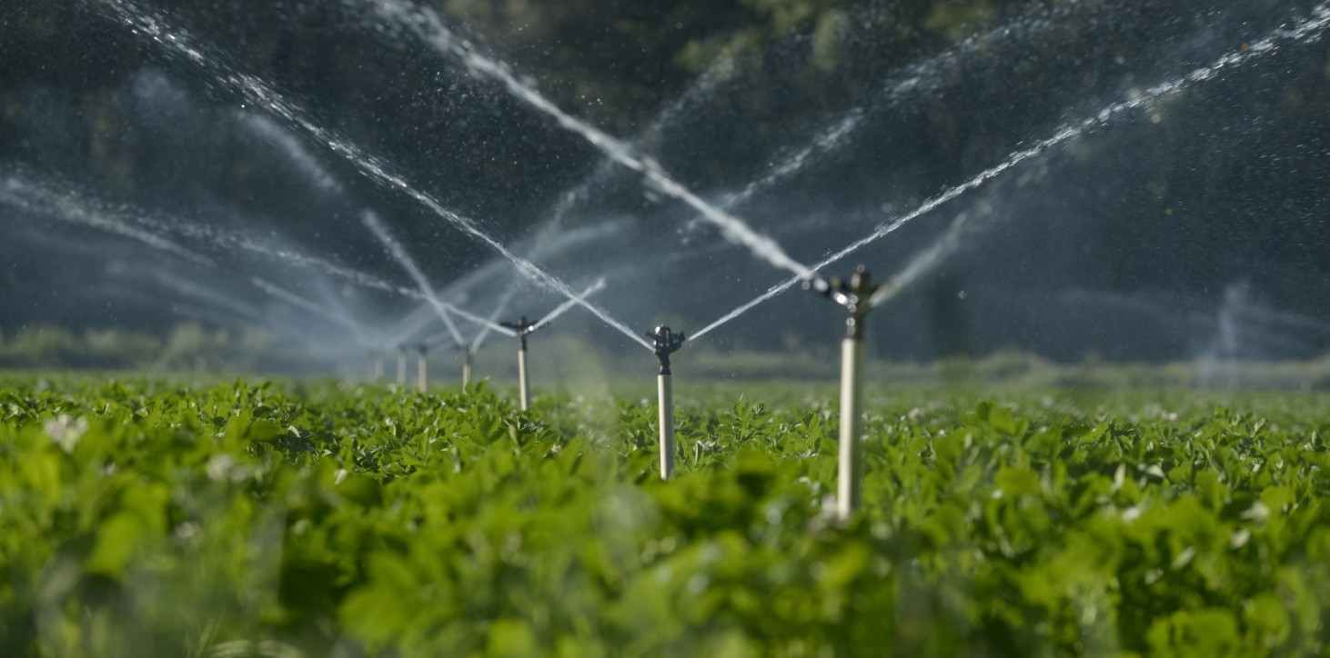 Irrigazione su larga scala di un campo