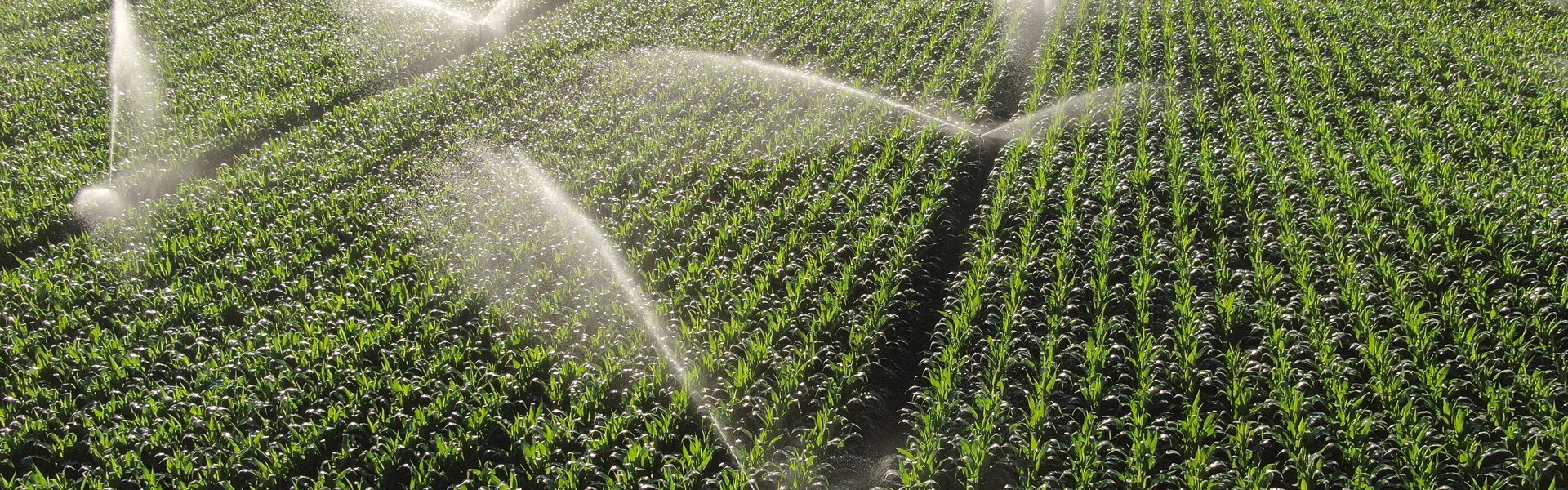 Großflächenberegnung von einem Acker