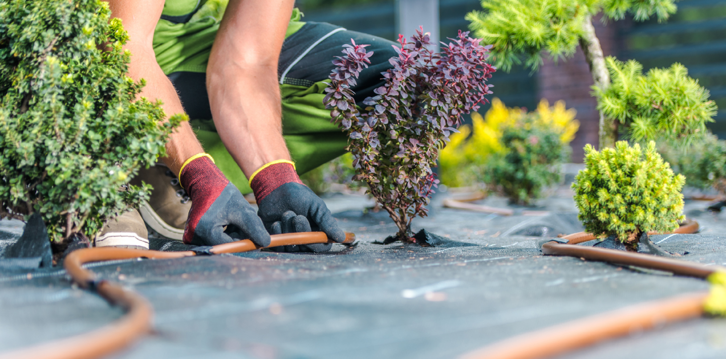 Installazione di una tecnologia di irrigazione in un giardino privato
