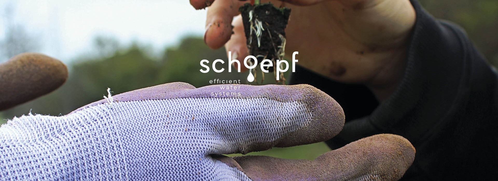 Il giardiniere accetta la pianta con i guanti