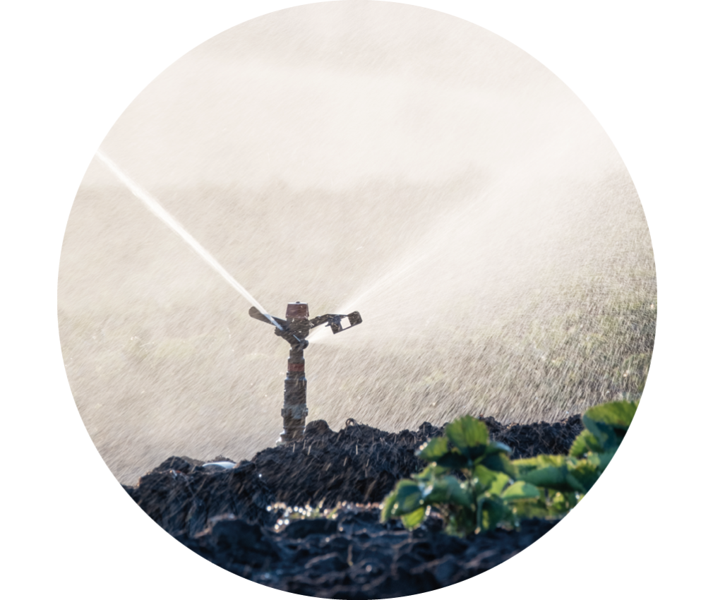 Irrigazione di un campo