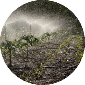 Großflächenberegnung eines Ackers