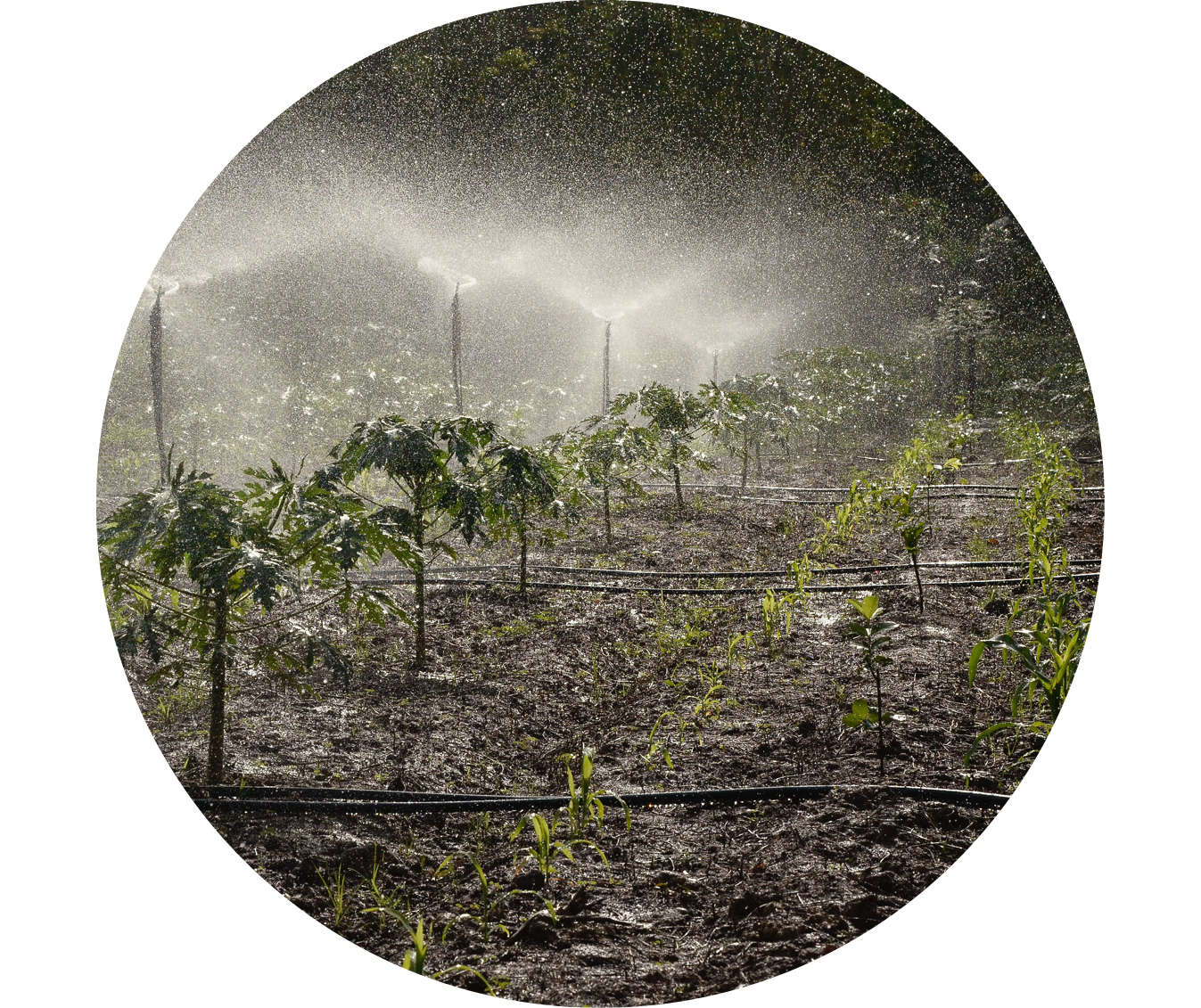 Großflächenberegnung eines Ackers | schoepf watersystems Großflächenberegnung eines Ackers