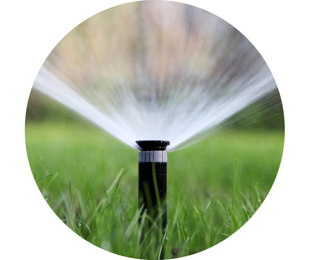 Irrigazione di un prato